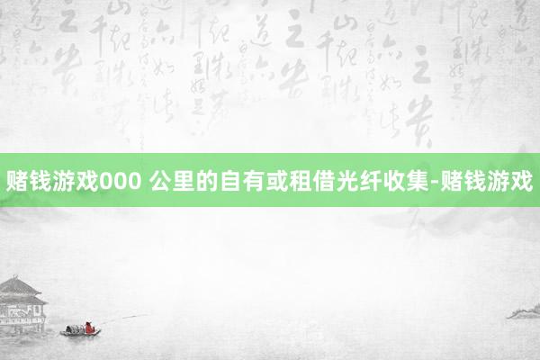 赌钱游戏000 公里的自有或租借光纤收集-赌钱游戏